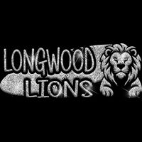 GLT100 SILVER GLITTER Thumbnail