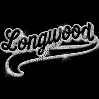 GLT78 SILVER GLITTER Thumbnail