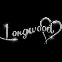 GLT6 SILVER GLITTER Thumbnail